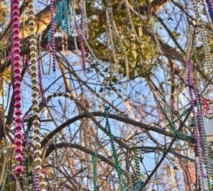 mardi gras bead tree new orleans